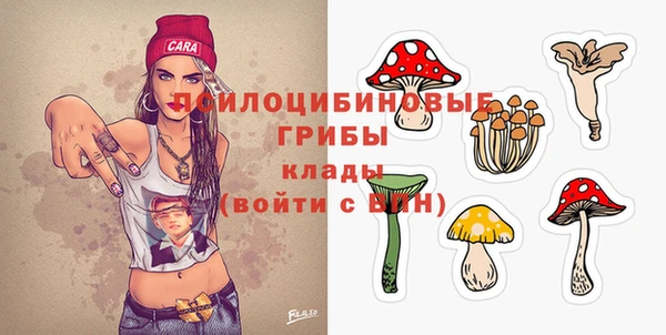 круглые Аркадак